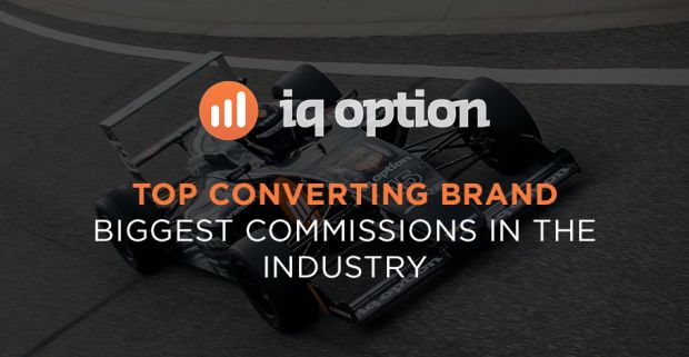 Партнерская программа IQ Option