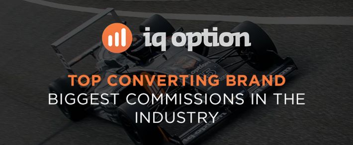 Партнерская программа IQ Option