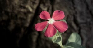 Как M1-Shop растопил циничные арбитражные сердечки и почему все говорят об AdvertStar Games Cup 2016 читай в дайджесте партнерок №36 (25-29 апреля)