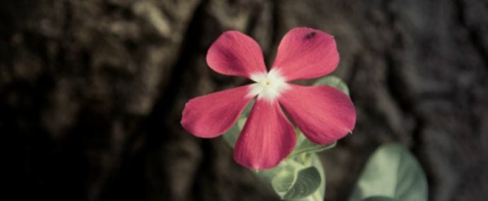 Как M1-Shop растопил циничные арбитражные сердечки и почему все говорят об AdvertStar Games Cup 2016 читай в дайджесте партнерок №36 (25-29 апреля)