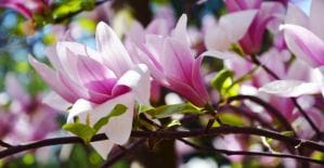 Офферы по вкусу: 5 офферов на майские