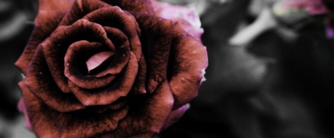 Какие вопросы задает своим вебмастерам AdmitAd и что связывает Сейлормун с арбитражем читай в дайджесте партнерок №38 (9-13 мая)