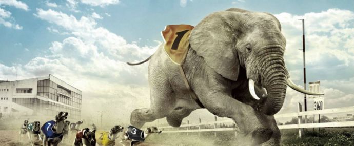 Под прицелом: TOPSLON