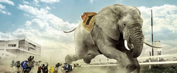 Под прицелом: TOPSLON