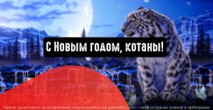 С Новым 2022 годом, котаны!