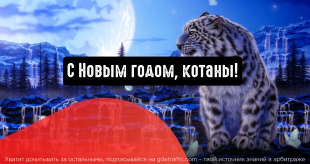 С Новым 2022 годом, котаны!
