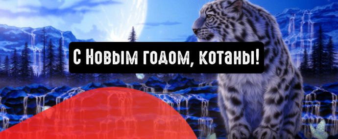 С Новым 2022 годом, котаны!