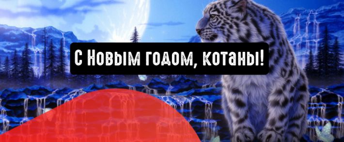 С Новым 2022 годом, котаны!