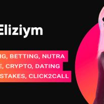 Eliziym: партнерская сеть с in-house баинг-агентством и с авторской разработкой приложений