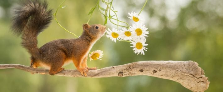 Facebook  представил непрерывные видеотрансляции