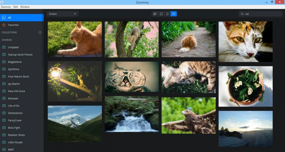 Под прицелом: Zoommy - сервис для поиска бесплатных стоковых изображений