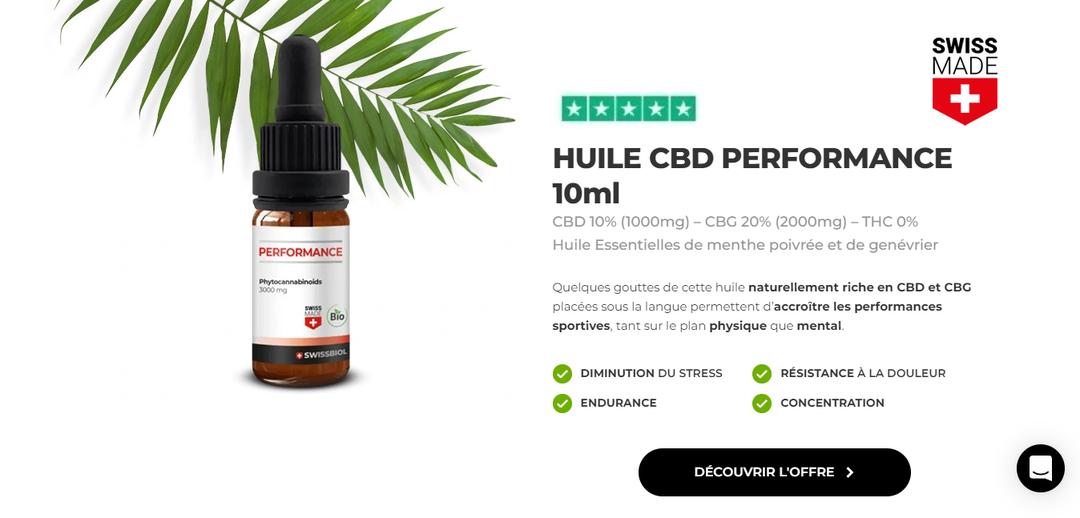 Algo Affiliates: крупная международная партнерская сеть