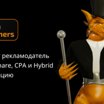 Dragon Partners: гемблинг партнерка бренда DragonMoney
