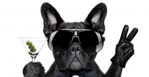 ВКонтакте разрешил автовоспроизведение гифок