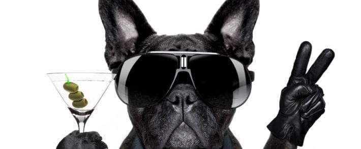 ВКонтакте разрешил автовоспроизведение гифок