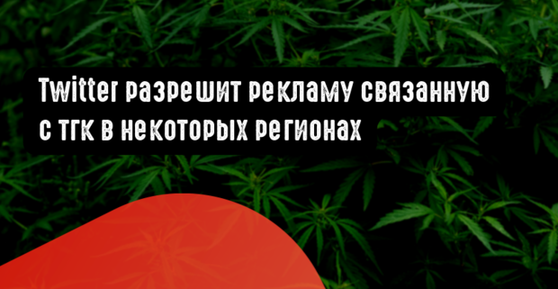 Twitter разрешит рекламу связанную с тгк в некоторых регионах
