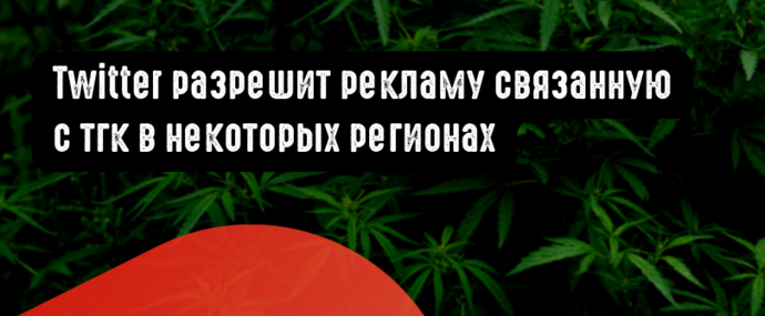 Twitter разрешит рекламу связанную с тгк в некоторых регионах