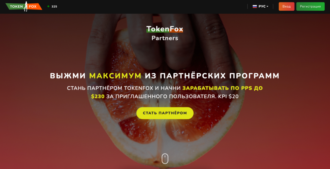 Token Fox Partners: прямой рекламодатель вебкам оффера Token Fox