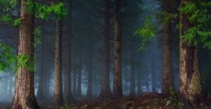 Кто приравнял WaistTrainer к найку и как добиться повышения выплат на 200 000 рублей читай в дайджесте партнерок №43 (13-17 июня)