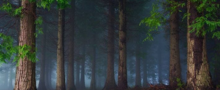 Кто приравнял WaistTrainer к найку и как добиться повышения выплат на 200 000 рублей читай в дайджесте партнерок №43 (13-17 июня)