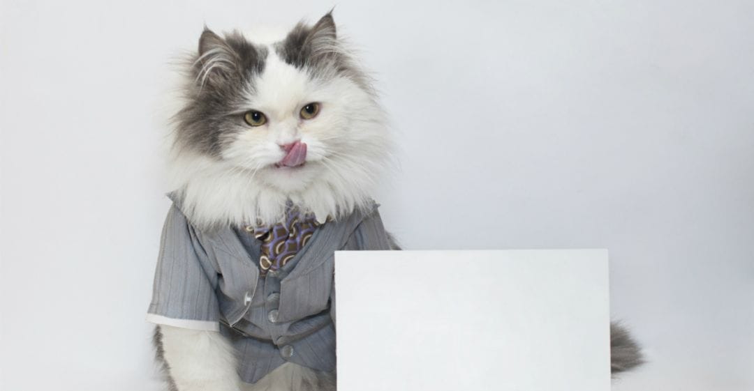 Под допросом: Космический Арбитраж Трафика