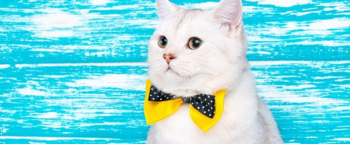 Под допросом: Космический Арбитраж Трафика