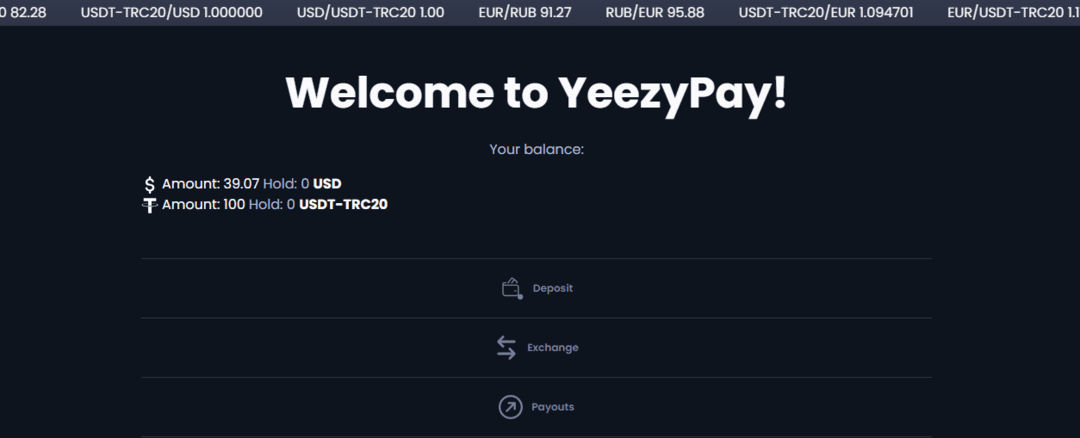 YeezyPay: легкий доступ к автоматизированным трастовым агентским аккаунтам Google Ads