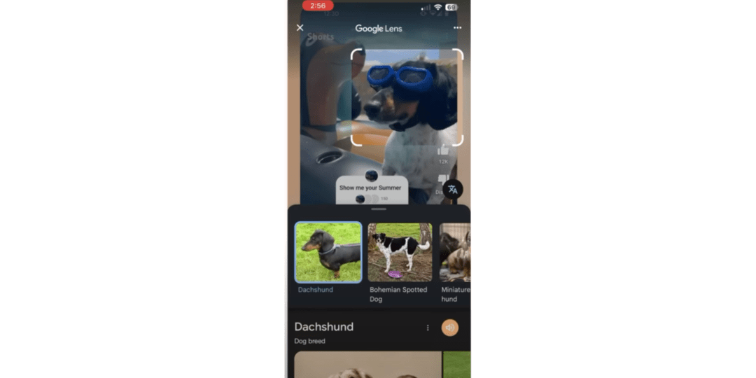 Google Lens приходит в YouTube Shorts: теперь можно искать прямо по видео