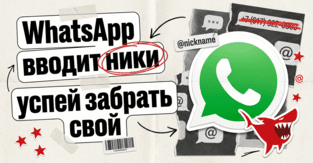 Юзернеймы в WhatsApp: новая поляна без номеров и тихая война за брендовые ники