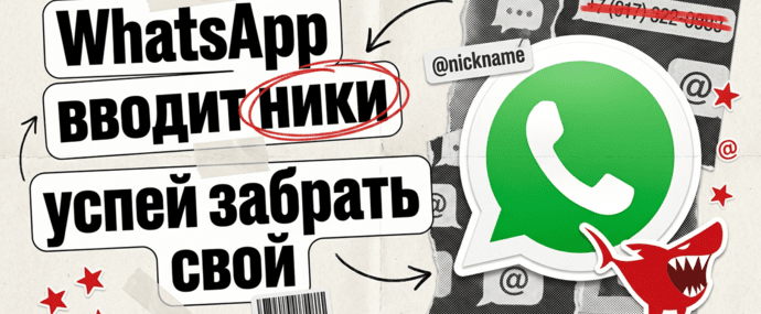 Юзернеймы в WhatsApp: новая поляна без номеров и тихая война за брендовые ники
