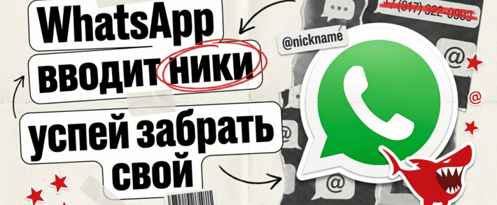 Юзернеймы в WhatsApp: новая поляна без номеров и тихая война за брендовые ники