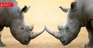 Инфографика: Instagram vs Snapchat