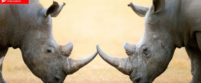 Инфографика: Instagram vs Snapchat