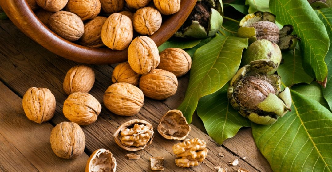 Под допросом: Прогрессивный Арбитражник