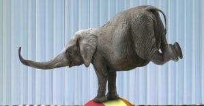 Инфографика: размер картинок в социальных сетях