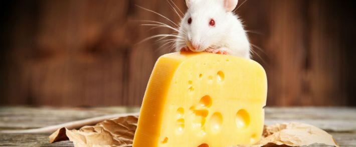 Число вирусов в рекламных сетях выросло в 3 раза