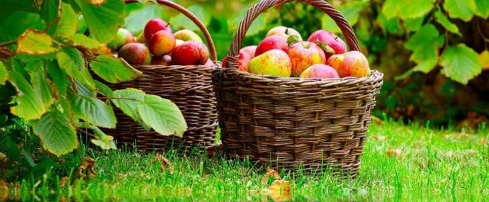 Кто из партнерок самый щедрый, читайте в дайджесте №50 (1-5 августа)