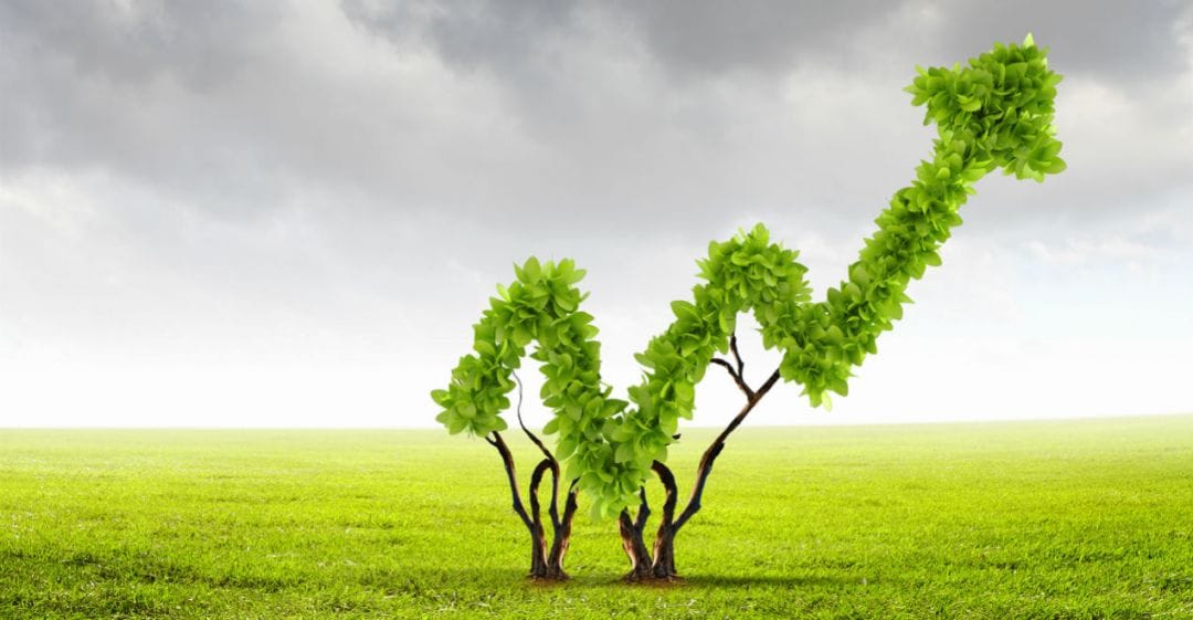 Почему мы все скоро будем лить на «Сферу 3» и пить вискарь читай в дайджесте партнерок №5 (22-28 августа)