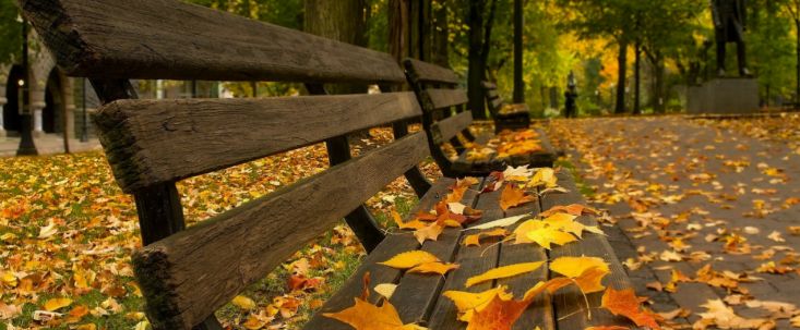 Как партнерки встретили Первое сентября, читай в дайджесте №54 (29 августа - 2 сентября)