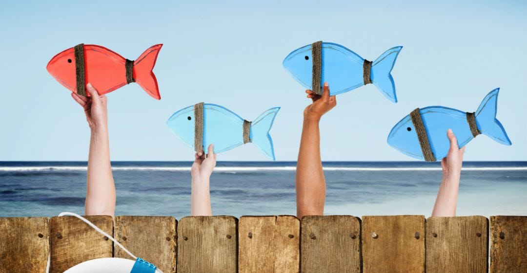 Мобильное направление и с чем его едят