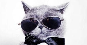 Корпорация Добра представила Google Tag Assistant Recordings