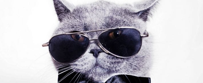 Корпорация Добра представила Google Tag Assistant Recordings