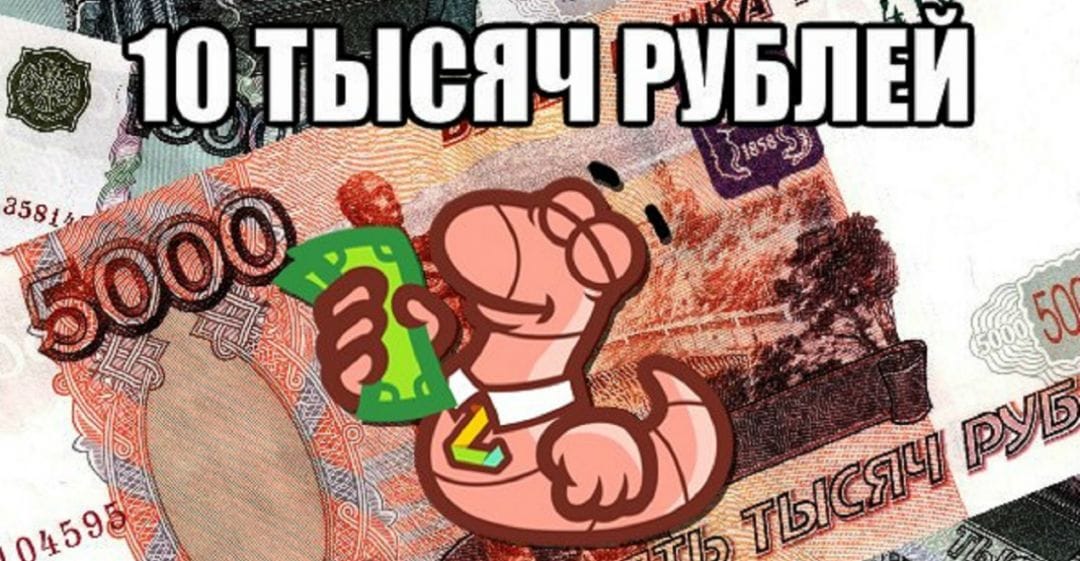Есть ли где-то жизнь, кроме колготок, читай в дайджесте интересных новостей партнерок №62 (24-28 октября)