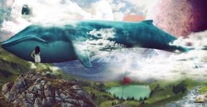 SocialKit обзор, отзывы и аналоги. Программа для раскрутки и продвижения в Инстаграм