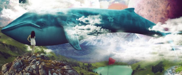 SocialKit обзор, отзывы и аналоги. Программа для раскрутки и продвижения в Инстаграм