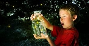 Думаешь, что искать микро-моменты то же самое, что бегать за светлячками? Давайте разбиремся