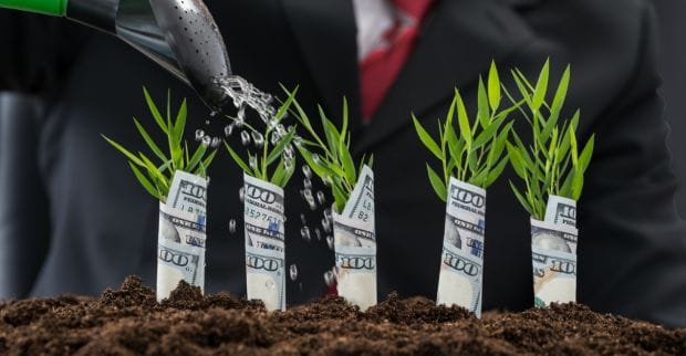 Как заработать много денег перед Новым Годом в дайджесте №67 (28 ноября-2 декабря)