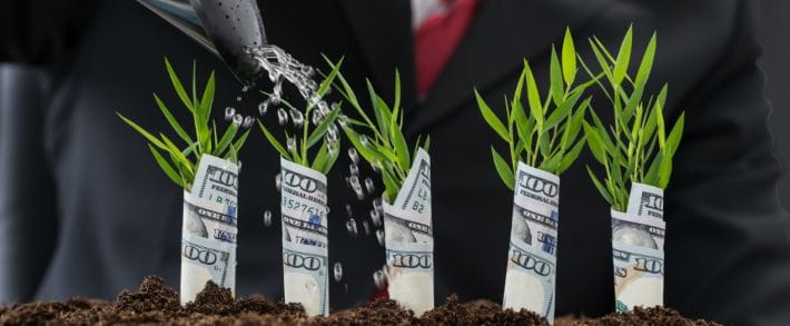 Как заработать много денег перед Новым Годом в дайджесте №67 (28 ноября-2 декабря)