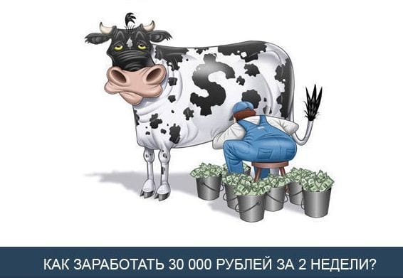 Прелендинги для вебмастера: что и для чего