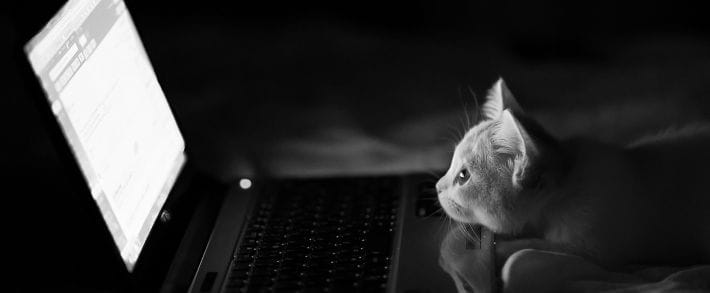 От заката до рассвета: ночной слив